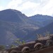 Agustin Nieves Photo 15