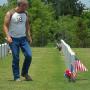 John Ashmore Photo 27