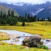 Tso Chu Photo 16