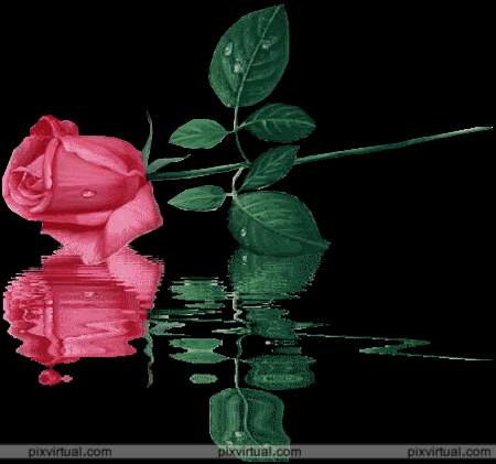 Emilia Rivera Photo 9