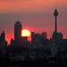 Dudley Hayes Photo 19