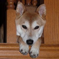 Cheryl Coburn Photo 6