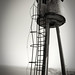 Emilio Forte Photo 19