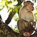 Amit Gandhi Photo 35