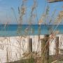 Jeanine Roberts Photo 16