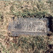 Bruce Wise Photo 29