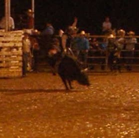 Dustin Horton Photo 9