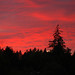 Douglas Hecker Photo 19