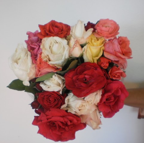 Dora Monroy Photo 2