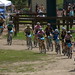 Tim Birch Photo 39