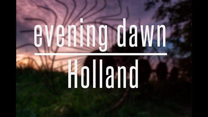 Dawn Holland Photo 27