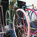 James Sachs Photo 34