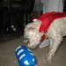 Ginger Clinton Photo 15