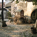 S Zhou Photo 13