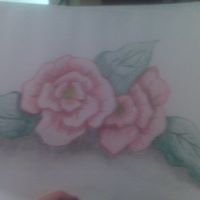 Judy Knotts Photo 2