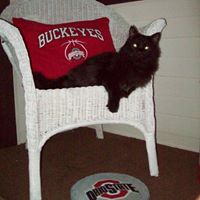 Jennifer Kerns Photo 2