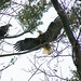 Lynn Pattison Photo 18
