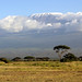 Kenya Strong Photo 20