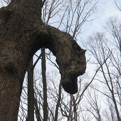 Chris Ullman Photo 9