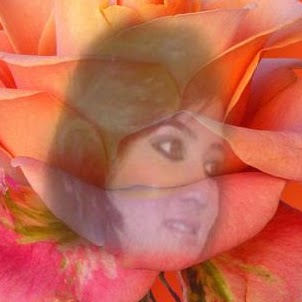Ann English Photo 9