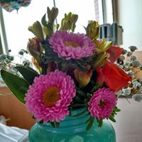 Doris Gruber Photo 4
