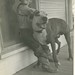 Donald Brindle Photo 12