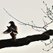 Jay Hocking Photo 16