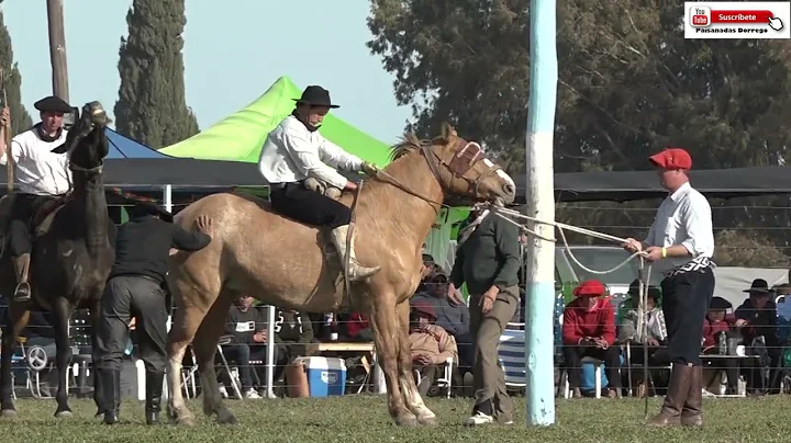 Joaquin Zavala Photo 28