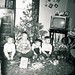Marsha Newton Photo 28