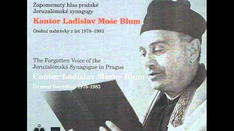 Moshe Blum Photo 8