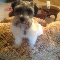 Randi Roberts Photo 3