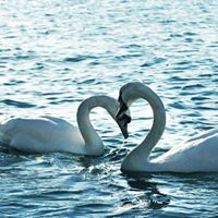 Rajesh Dave Photo 4