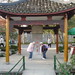 Ping Qiu Photo 22