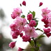 Xin Zhuang Photo 17