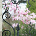 Dean Gates Photo 28
