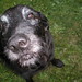 Eileen Quick Photo 23