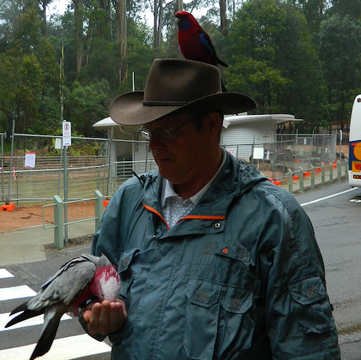 Stephen Sparrow Photo 9