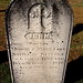 John Fahy Photo 42