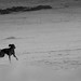 Brittany Speed Photo 26