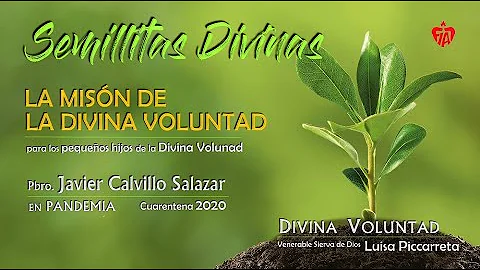 Javier Calvillo Photo 17