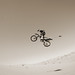 Cory Tarrant Photo 21