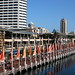 Joseph Salama Photo 32