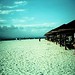 Sandy Cross Photo 43