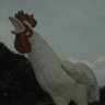 Nana Ansah Photo 10