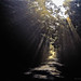 Thomas Michels Photo 39