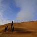 Tonia Land Photo 13