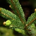 Paul Fleischman Photo 22