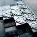 Justin Craft Photo 35