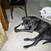 Darla Hunter Photo 31