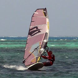 Hiroshi Tajima Photo 2